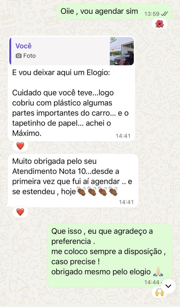 Depoimento detalhado sobre cuidado com proteção do veículo